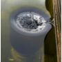 Kép 2/3 - Tóba helyezhető skimmer, tavak vízfelszinének tisztításához